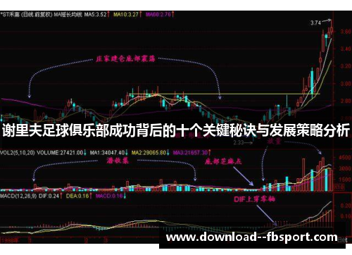 谢里夫足球俱乐部成功背后的十个关键秘诀与发展策略分析